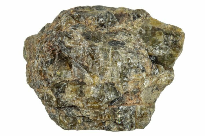 Diogenite Meteorite ( g) - From Vesta Micro-Planet #281051